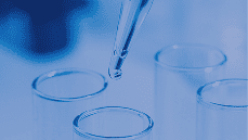 A pipette dispenses a liquid into a Petri dish in a laboratory setting with a blue tone.